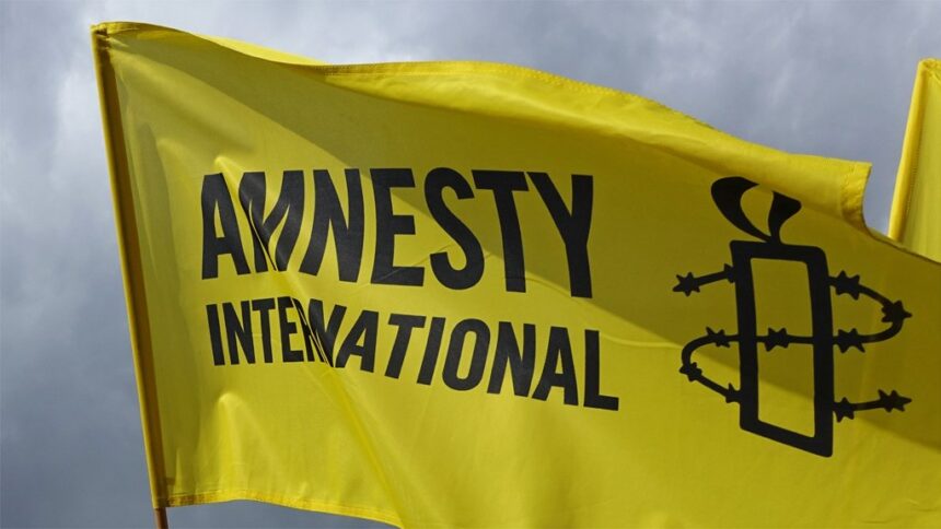 Abductions, setback for education in Northern Nigeria – Amnesty International