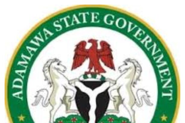 Adamawa government debunks rumoured school closure