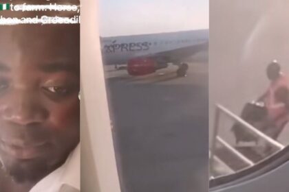 After 15 years abroad, Man returns to Nigeria, becomes a farmer