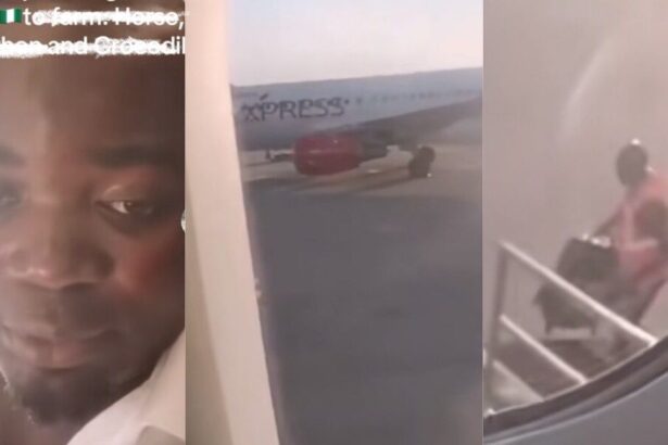 After 15 years abroad, Man returns to Nigeria, becomes a farmer