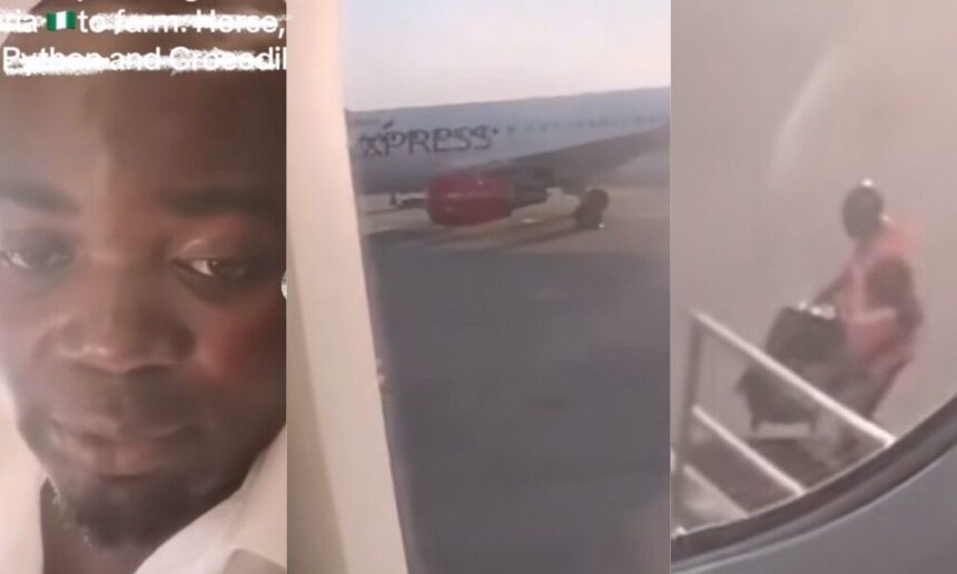 After 15 years abroad, Man returns to Nigeria, becomes a farmer