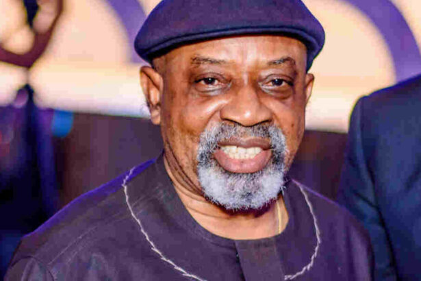 Attack On My Convoy Could’ve Been Deliberate Or Coincidental – Chris Ngige
