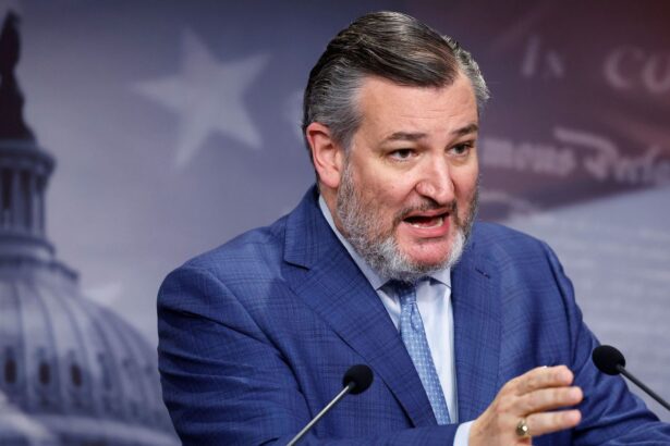 Christian genocide: Senator Ted Cruz reveals next step