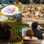 Edo Gov’t cracks down on drug cartels, arrests breastfeeding mother, six others – Nigerian NewsDirect – Breaking News in Nigeria