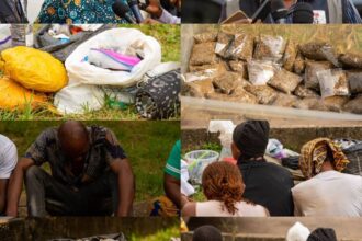 Edo Gov’t cracks down on drug cartels, arrests breastfeeding mother, six others – Nigerian NewsDirect – Breaking News in Nigeria