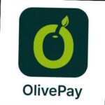 Emerging Payment Solutions Provider Of The Year – OLIVE PAY – Nigerian NewsDirect – Latest News in Nigeria