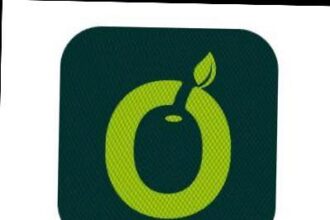 Emerging Payment Solutions Provider Of The Year – OLIVE PAY – Nigerian NewsDirect – Latest News in Nigeria