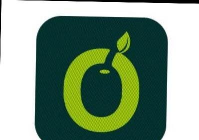 Emerging Payment Solutions Provider Of The Year – OLIVE PAY – Nigerian NewsDirect – Latest News in Nigeria