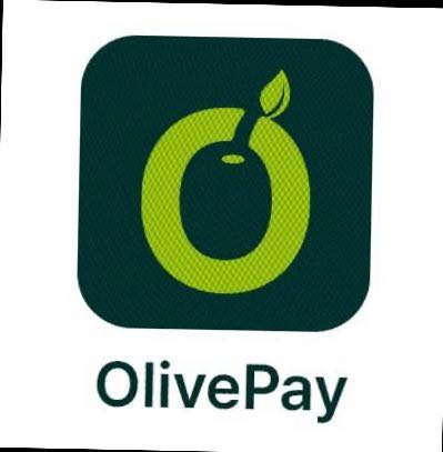 Emerging Payment Solutions Provider Of The Year – OLIVE PAY – Nigerian NewsDirect – Latest News in Nigeria