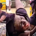 Emotional moment man gifts tired bottle water seller bundles of cash
