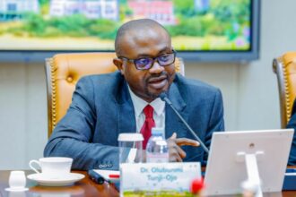 FG to launch Single Travel Emergency Passport in January 2026 