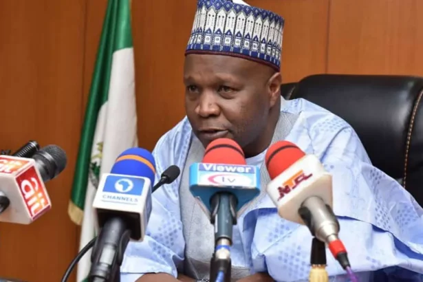 Gombe directs temporary closure of all schools by Friday