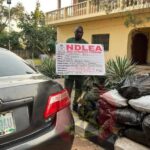 Nigerian army seizes over 108 kilograms of cannabis, arrests suspect in Kogi state 