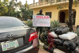 Nigerian army seizes over 108 kilograms of cannabis, arrests suspect in Kogi state 