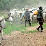 “Permit Revoked” — Cross River Govt Cancels Miyetti Allah Cattle Movement Approval, Orders Security Enforcement