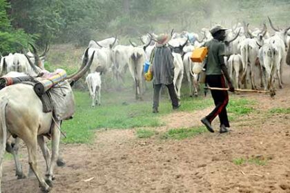 “Permit Revoked” — Cross River Govt Cancels Miyetti Allah Cattle Movement Approval, Orders Security Enforcement