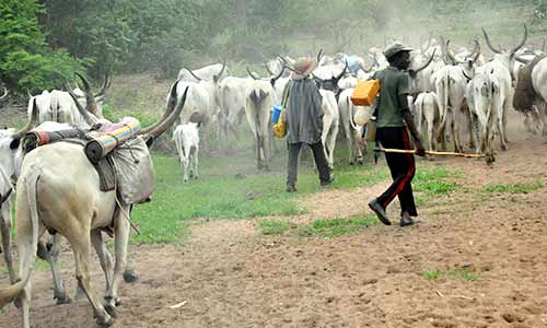 “Permit Revoked” — Cross River Govt Cancels Miyetti Allah Cattle Movement Approval, Orders Security Enforcement