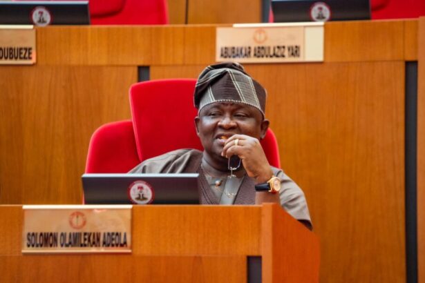 Senator Olamilekan Adeola blames International Conspiracy for insecurity in Nigeria
