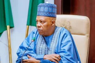 Shettima leaves South Africa for Angola to attend AU-EU summit