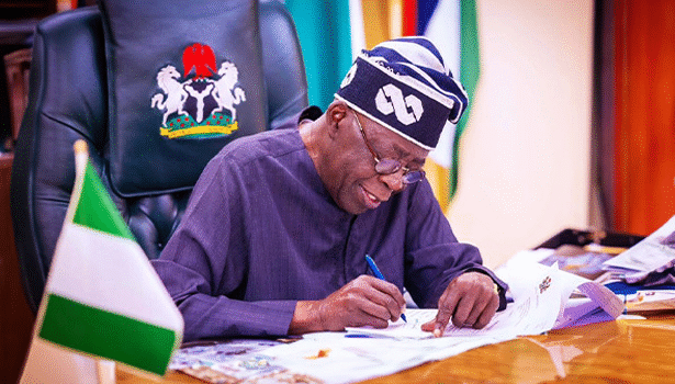 Tinubu nominates Yakubu, Fani-Kayode, Omokri, 29 others as ambassadors