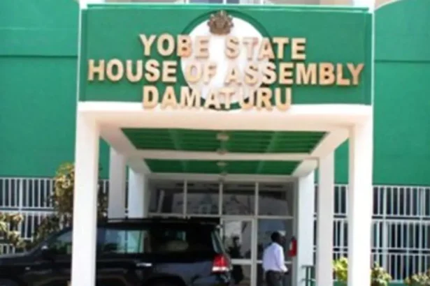 Yobe Assembly decries unprofessional conduct of health workers