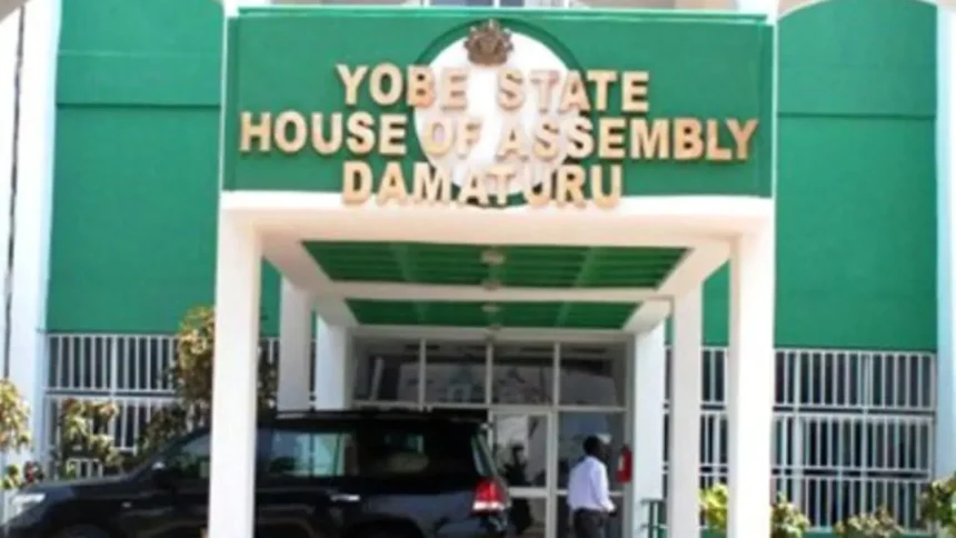 Yobe Assembly decries unprofessional conduct of health workers