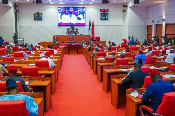 2026 Appropriation Bill scales second reading in Senate