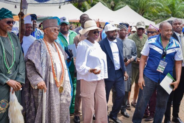 Abeokuta to hold maiden edition of Polo festival