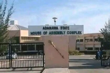 Adamawa Assembly asks Gov Fintiri to suspend Madagali council chairman