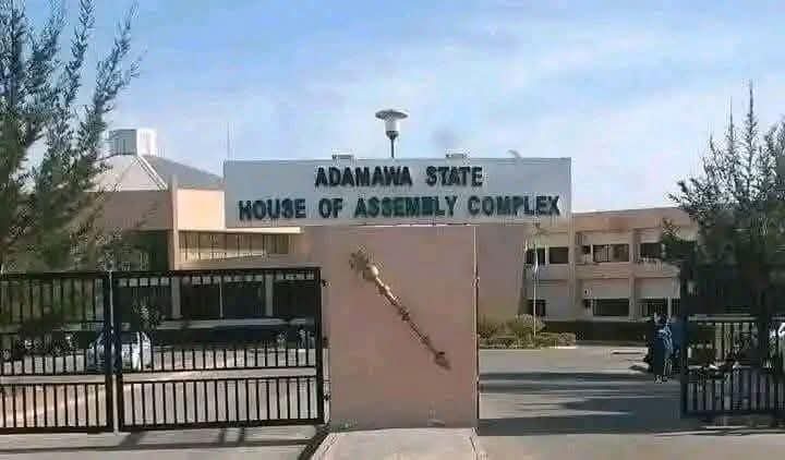 Adamawa Assembly asks Gov Fintiri to suspend Madagali council chairman