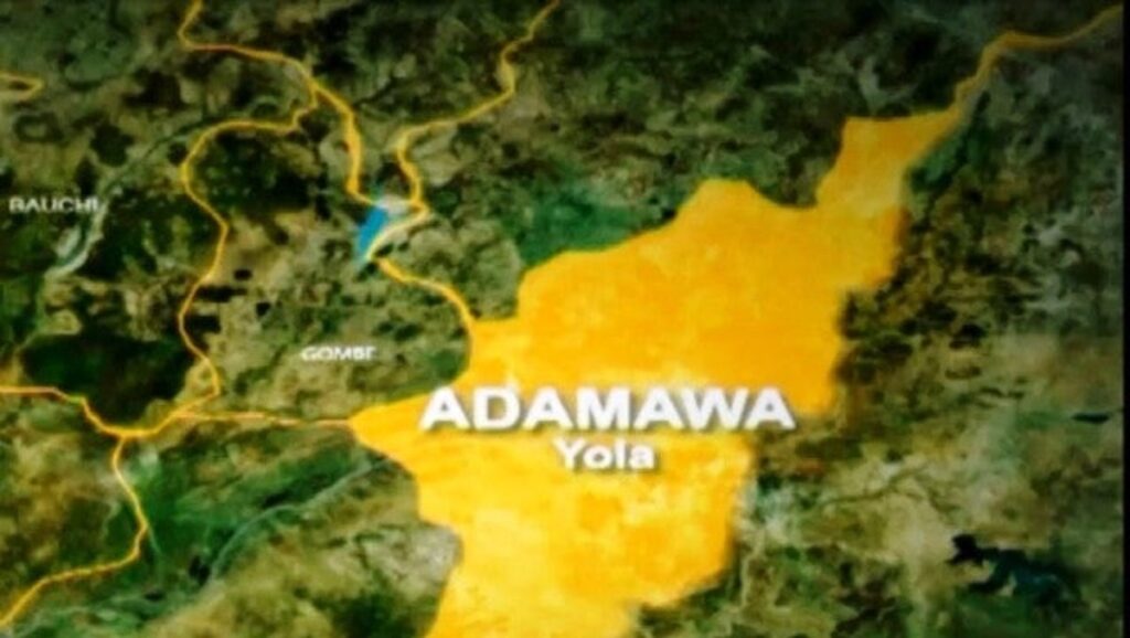 Adamawa group insists soldiers killed protesting Lamurde women, demands justice