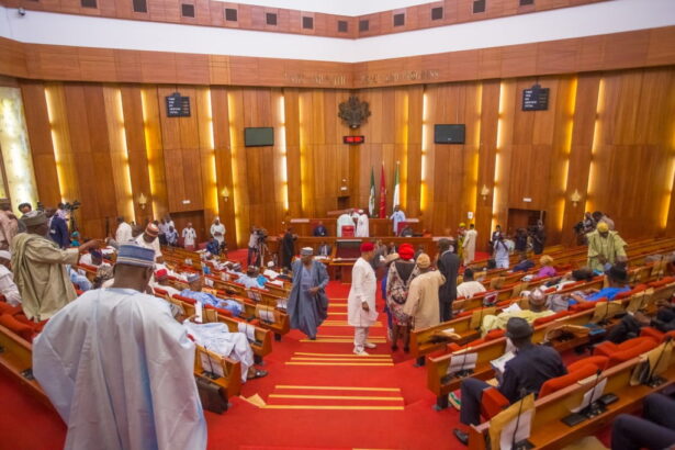 Ambassadorial screening: ‘We’re not surprised, but disappointed’ – ADC knocks Senate