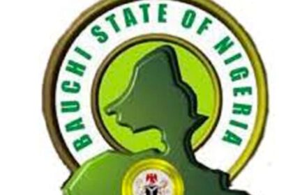 Bauchi approves 100% salary increase for health workers, introduces rural allowances