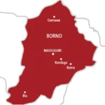 Canoe mishap in Borno leaves three dead, five rescued