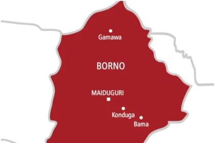 Canoe mishap in Borno leaves three dead, five rescued