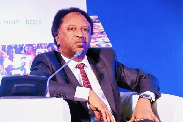 Don’t watch AFCON if you’ve high blood pressure, heart complications – Shehu Sani warns