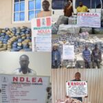 Drug cartels hit hard as NDLEA arrests multiple suspects in national crackdown
