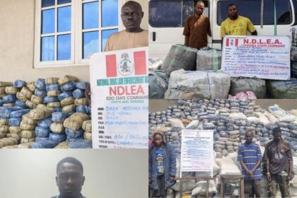 Drug cartels hit hard as NDLEA arrests multiple suspects in national crackdown