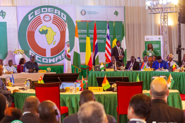 ECOWAS slashes air taxes to end west Africa’s sky-high ticket prices