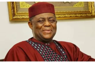 Fani-Kayode urges US lawmaker to take balanced view of Nigeria’s security challenges