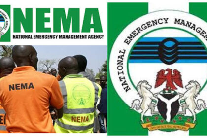 Fire razes parts of Gombe timber market, NEMA confirms response
