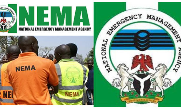 Fire razes parts of Gombe timber market, NEMA confirms response