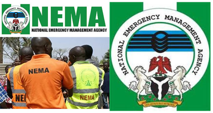 Fire razes parts of Gombe timber market, NEMA confirms response
