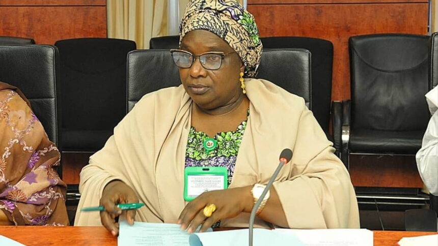 Gender inclusion improves health service delivery – Kaduna Deputy Gov