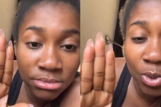 “He told his girlfriend I was just the cook” — lady shares awkward encounter with persistent suitor