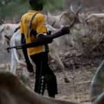Herdsmen kill four children in Plateau community in reprisal attack over alleged rustling of their cows