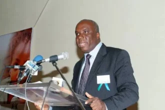 Insecurity: Not easy for army to capture bandits, terrorists – APC spokesman Morka