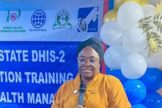 Lagos deepens investment in health information systems