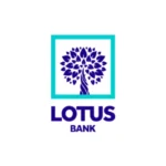 Lotus Bank CDO urges caution in implementing Nigeria–France tax agreement