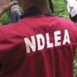 NDLEA arrests ‘Gamboli’, alleged major drug supplier to bandits